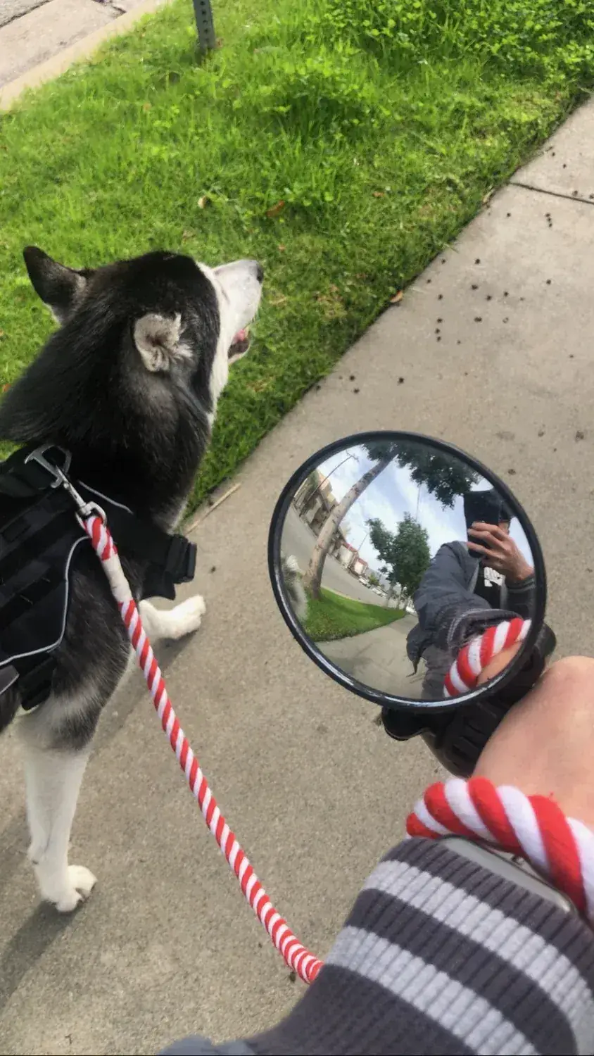 Out together on a neighborhood adventure.