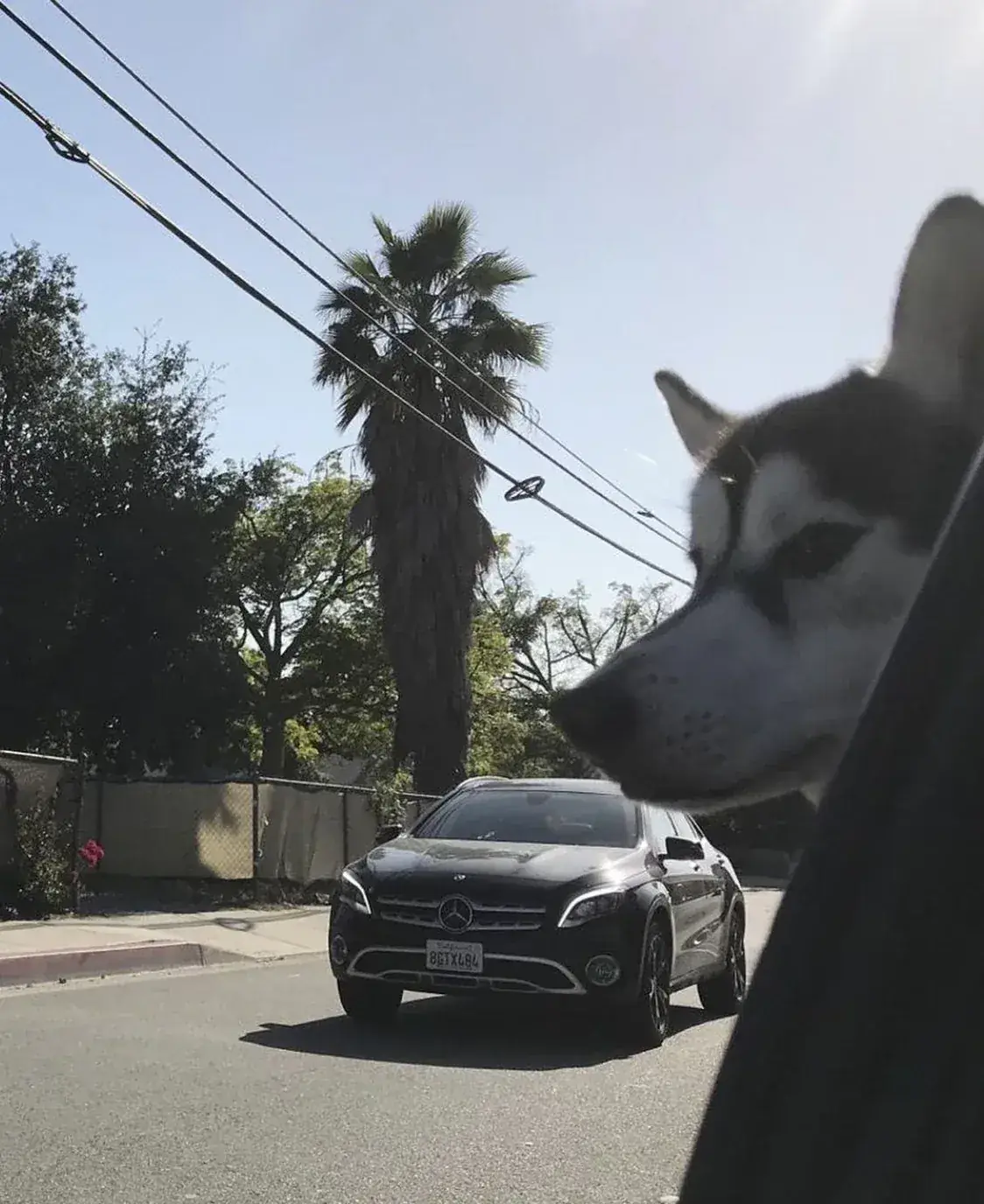 Taking in the view from the car.