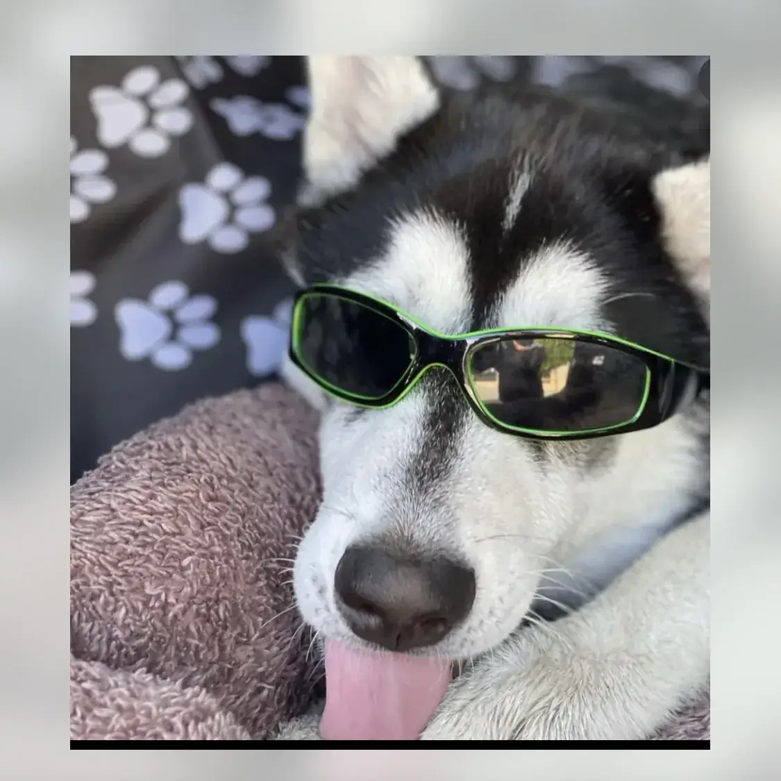 Green-glasses Cooper.