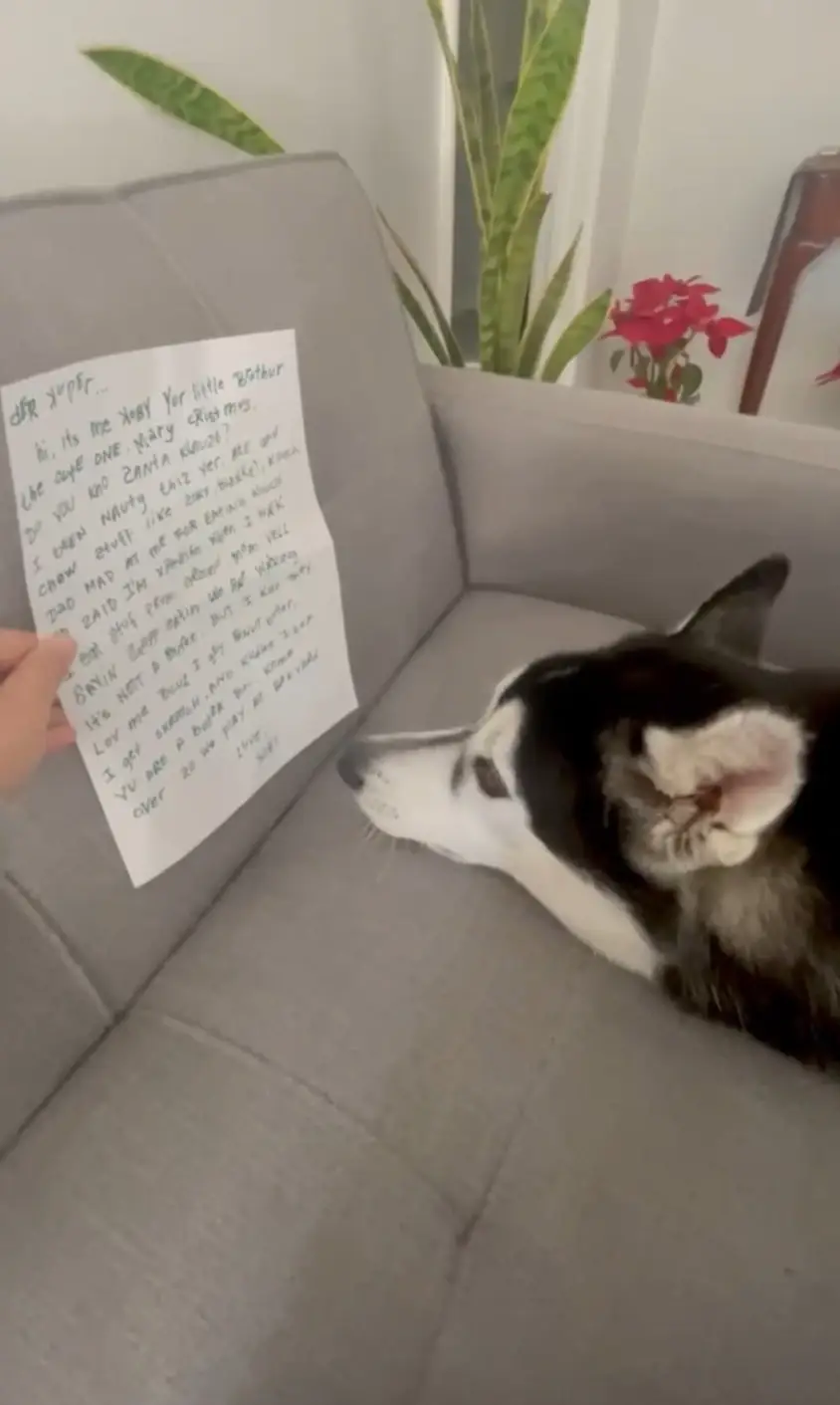 Cooper relaxing on the couch while looking at a handwritten note.