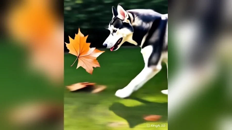 Cooper following a windblown leaf across the backyard