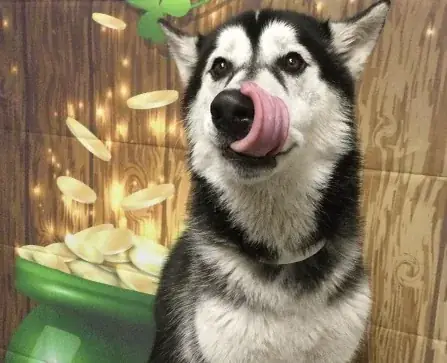 Perfect timing.